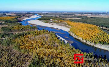 打造卓越狼性团队2天团建拓展活动方案