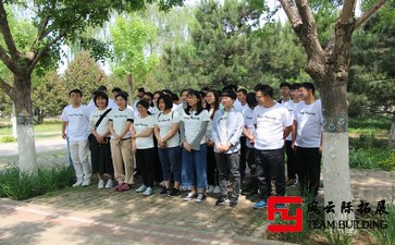 团队拓展训练心得体会1500字五篇