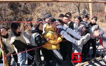 优秀员工拓展训练感想500字-1500字五篇