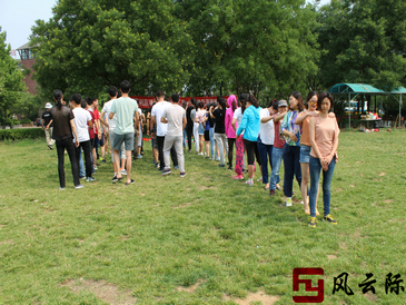 素质拓展训练图片