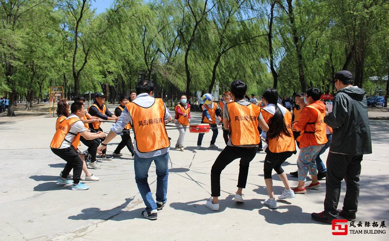 公司团建心得体会「简短五篇」