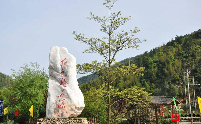 拓展活动