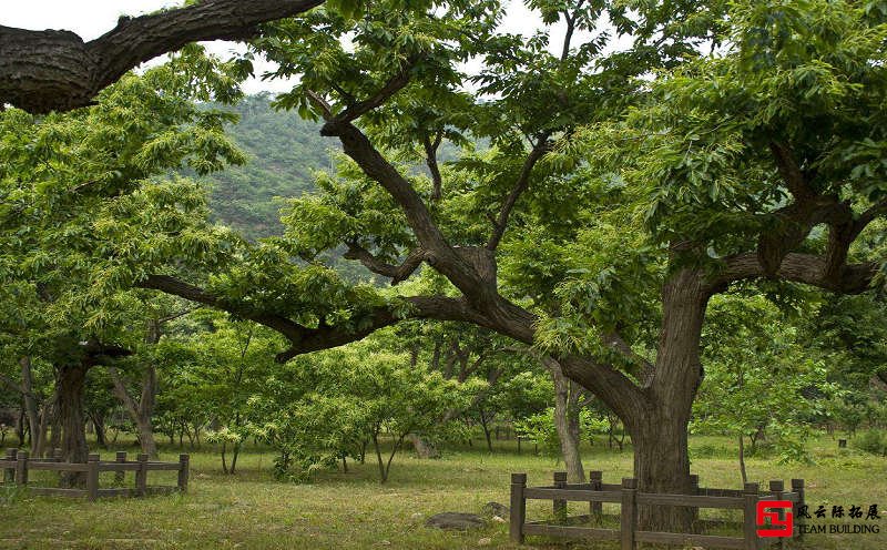 怀柔黄花城水长城团建拓展训练 怀柔黄花城水长城团建拓展训练