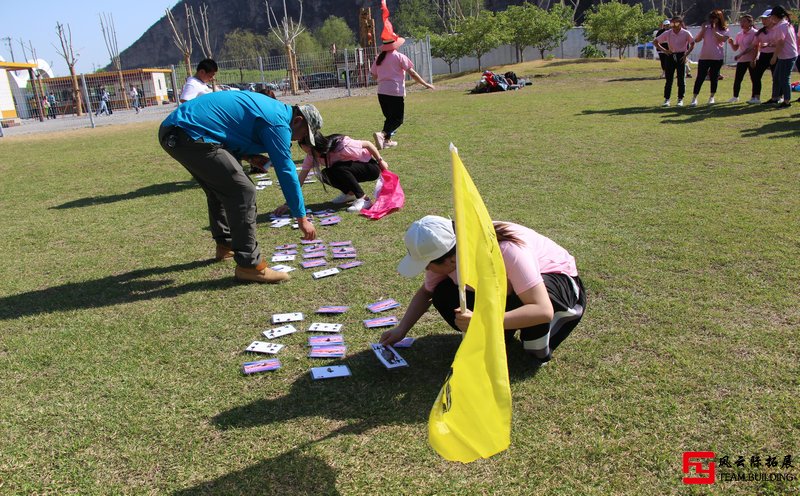 拓展训练凝聚团队力量五篇