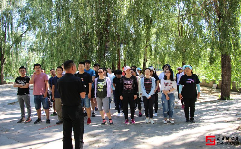 拓展感想：团结与信任的作用五篇