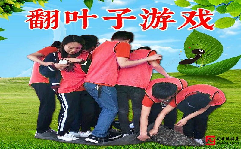经典拓展小游戏【翻叶子】 经典拓展小游戏【翻叶子】