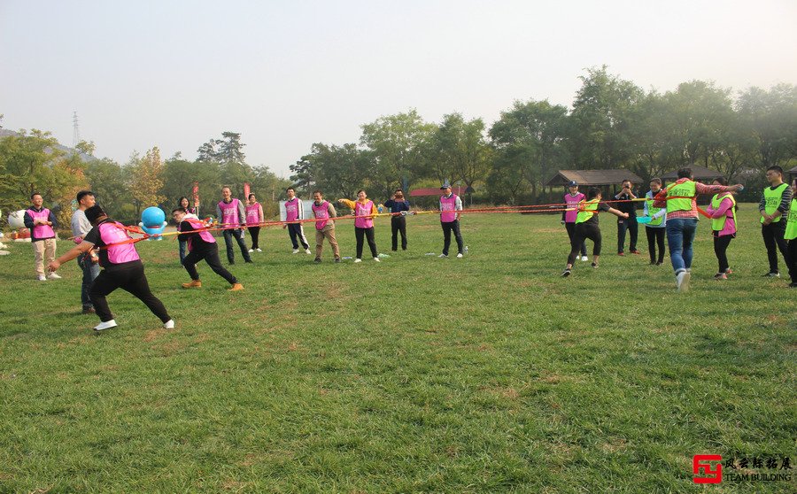  总工会组织职工开展素质拓展训练活动