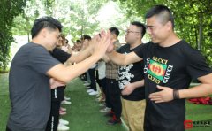 素质拓展心得体会800字攀岩
