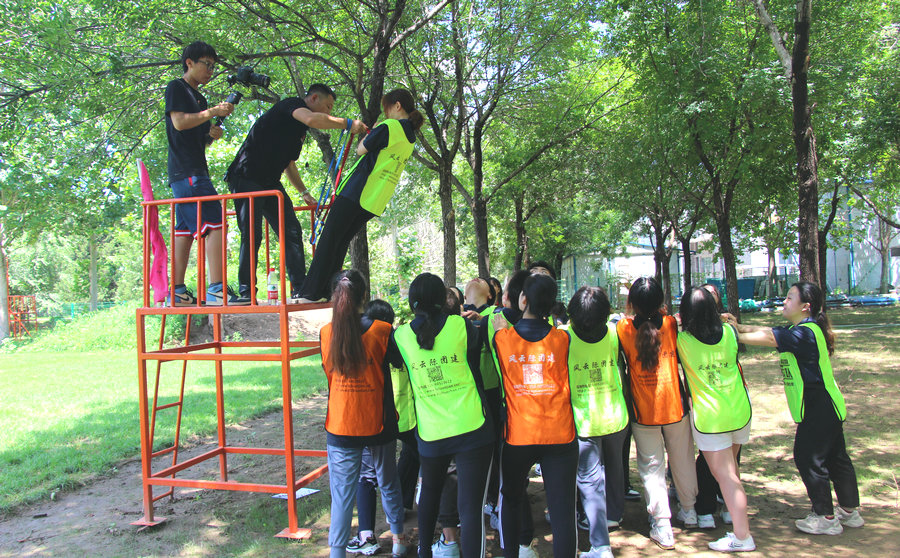 团队合作心得体会简短