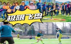 HR必备的10个团建破冰游戏