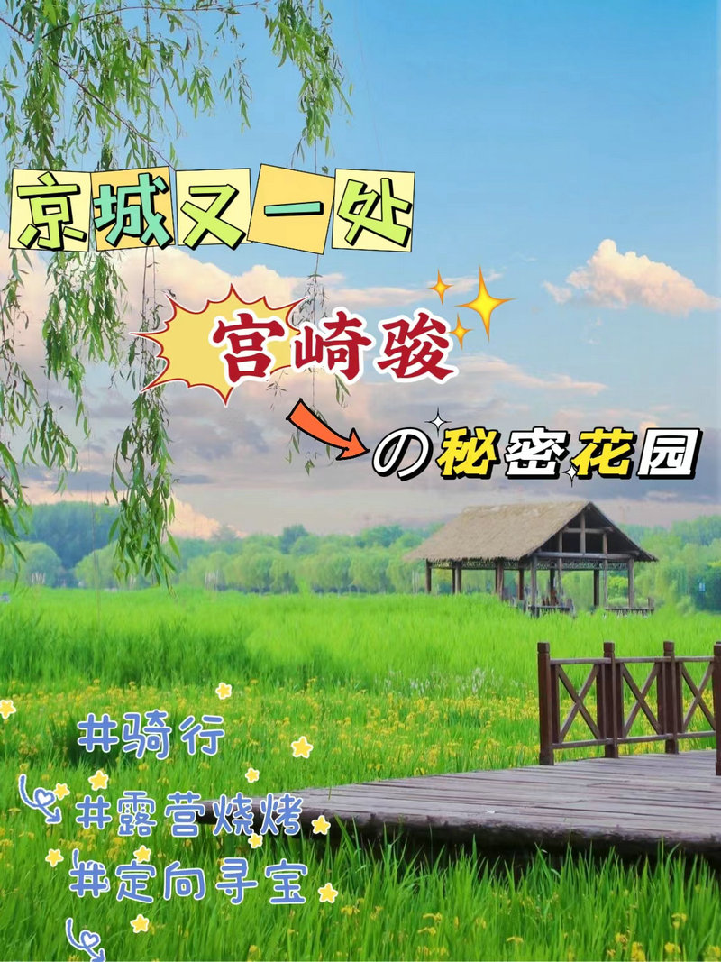 通州大运河森林公园团建