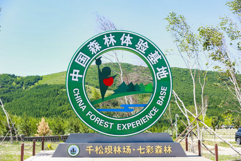 团建七彩森林图片