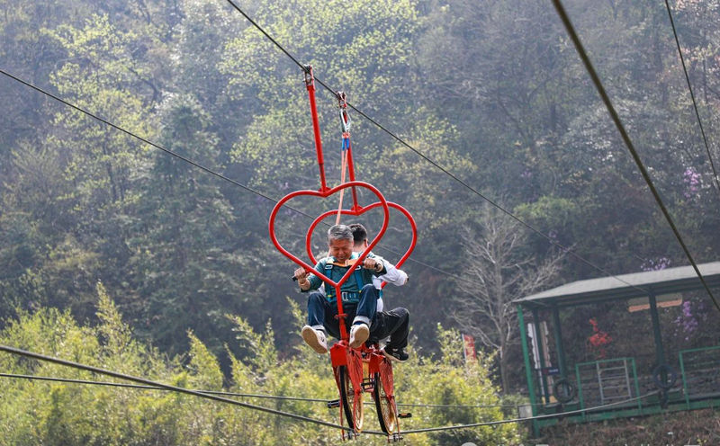 莫干山团建活动 莫干山团建活动